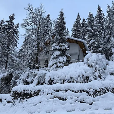 Villa Gusto, 3km From